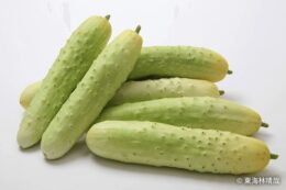 勘次郎胡瓜（かんじろうきゅうり）