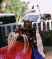 獅子頭（ししがしら）