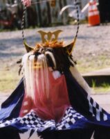 獅子頭（ししがしら）