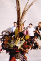 獅子頭（ししがしら）