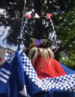 獅子頭（ししがしら）