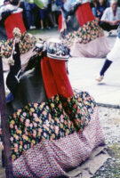 獅子頭（ししがしら）