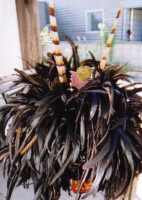 獅子頭（ししがしら）