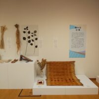 紅花・青苧などの紹介