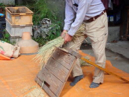 脱穀の様子（体験可）